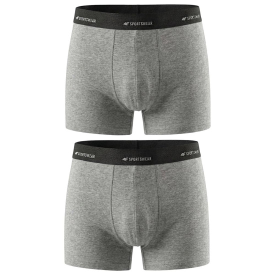 4F Ανδρικό εσώρουχο boxer 2-Pack